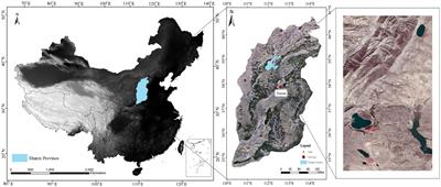 Bacterial Community Spacing Is Mainly Shaped by Unique Species in the Subalpine Natural Lakes of China